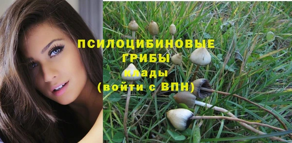ешки Абинск