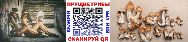 Псилоцибиновые грибы Magic Shrooms  Советск 